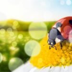 postkartengewinnspiele